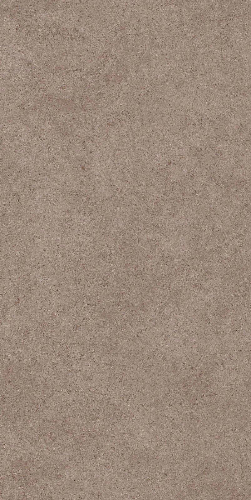 Nabel Limestone Marrone Brown SeaShell Textured Slab(001)